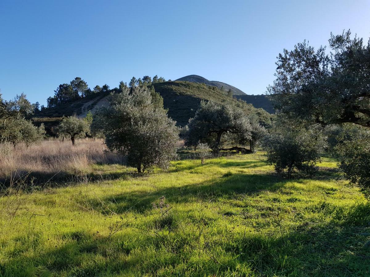 Casa Das Oliveiras Alvados Kültér fotó